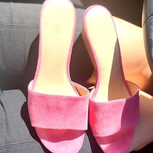 Botkier carries mule